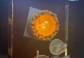 写招聘文案（创建吸引人才的招聘宣传文案）